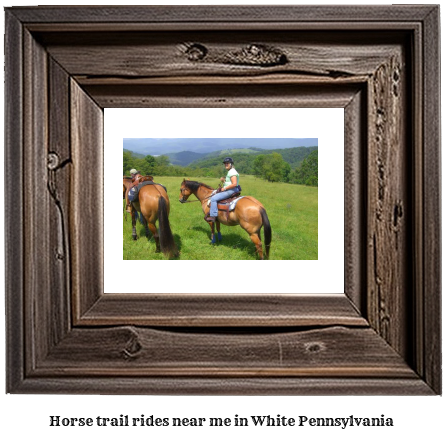 horse trail rides near me in White, Pennsylvania